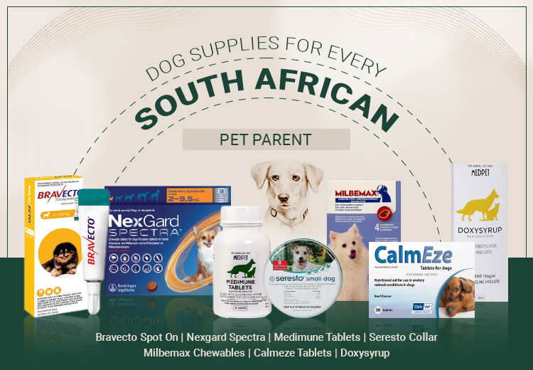 Dog Supplies for Every South African Pet Parent